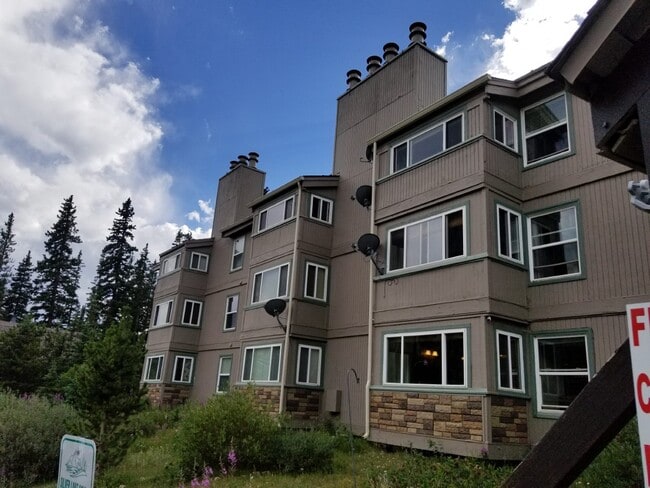 9366 Fall River Rd unit 9366, Idaho Springs, CO 80452 - photo 2