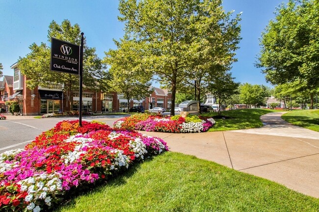 Professionally managed community