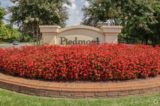 Piedmont South buzzes with energy, community events, and neighborly connections.