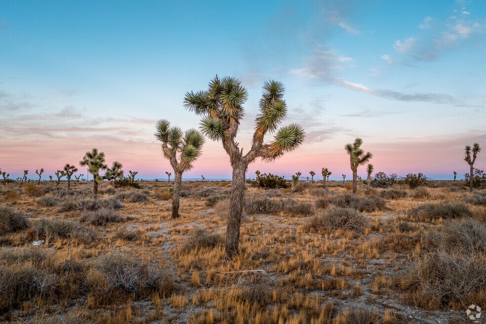 CP_Palmdale_1002190_P1_011025_BY_V2