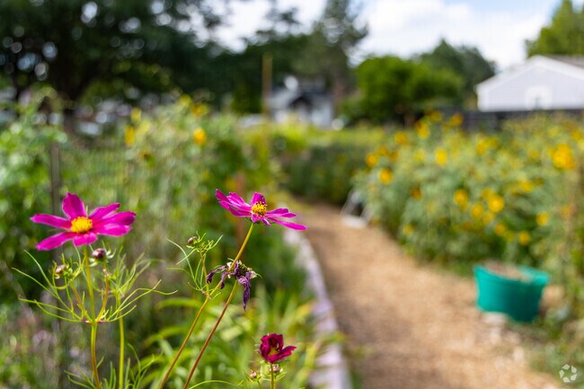 At the Lowell Street Community Garden, Barnum residents come together to care for produce.