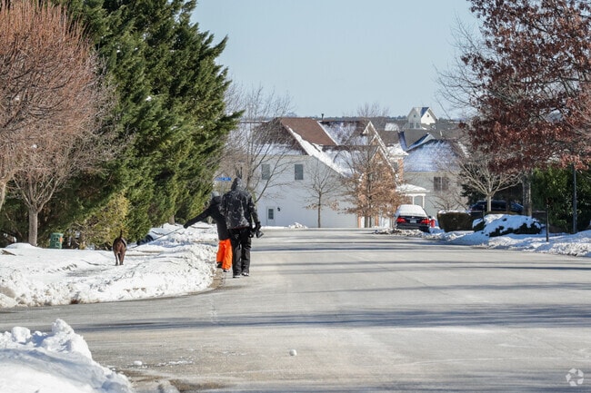 A residents walks the dog around the neighborhood in Loudoun Valley Estates.