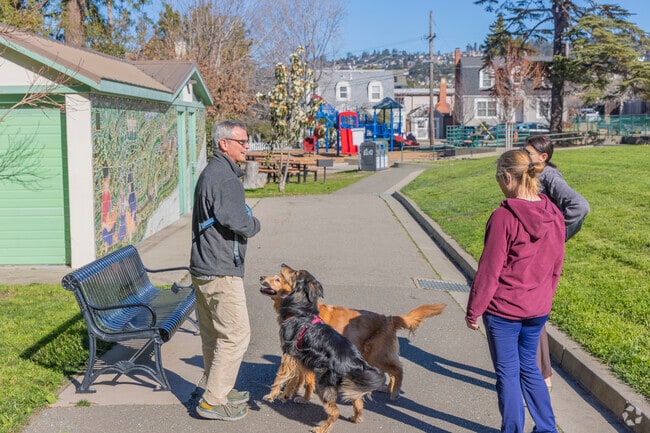 Many dog owners bring their dogs to Albany Terrace's Jewel's Terrace Park.
