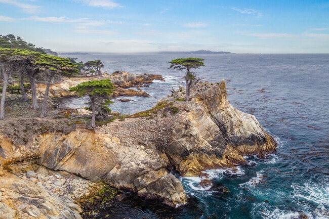The Lone Cypress in Pebble Beach, California is a worldwide must-see.