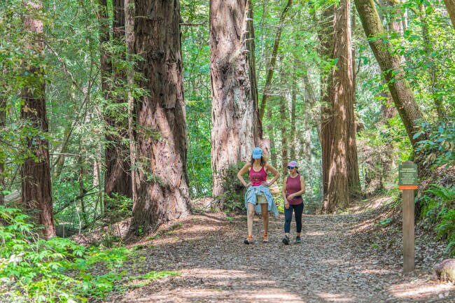 Two ladies enjoy the scenery while getting their exercise in at the Dawn Falls Trailhead area.