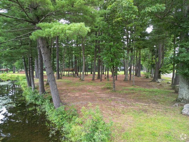 Dufresne Park is not a trailhead, but it nearly feels like one with its tall trees.