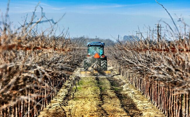 Agriculture drives The City of Livingston's economy.