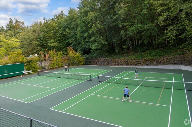 Plenty of fun outdoor activities at Cougar Mountain Park.