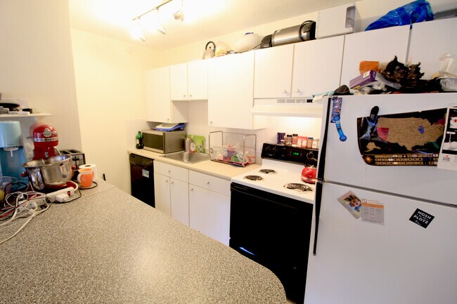 123 Sewall Ave unit 2L, Brookline, MA 02446 - photo 4