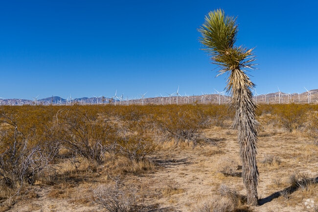 California City is surrounded by desert and modern wind machines.