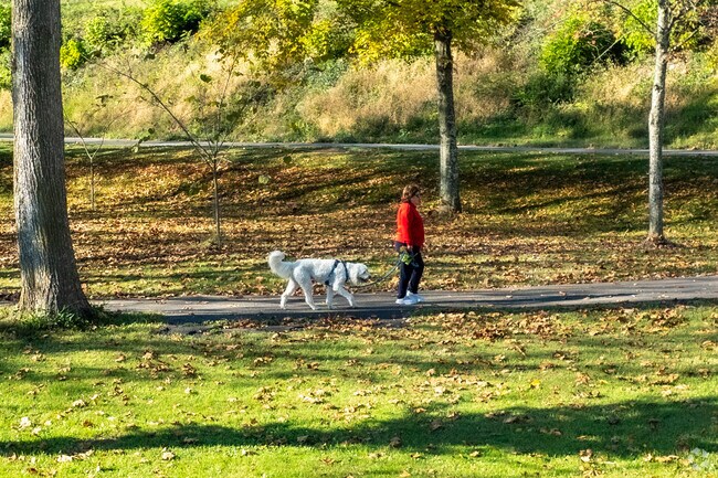 Nothing beats a walk on one of the local trails in Fall Branch.