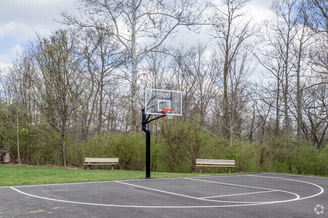 All are welcome to play a pick up game at Veterans Park's basketball court.