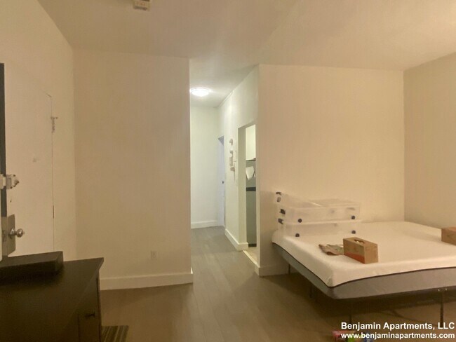 552 Massachusetts Ave unit 1, Boston, MA 02118 - photo 3