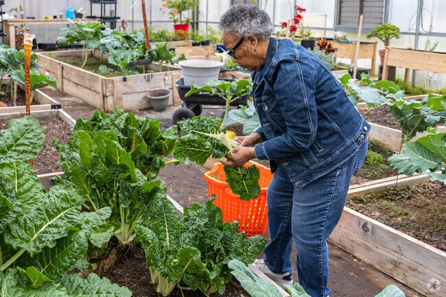 Spend time at the solar garden next to the Miami Chapel neighborhood.