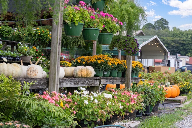 Rock Spring Produce Farmers Market offers an assortment of fresh flowers.