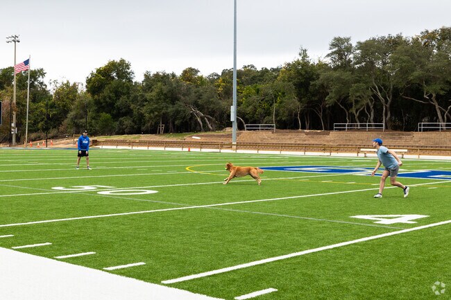 Dogs enjoy playing fetch with their people in Gulf Breeze, FL.
