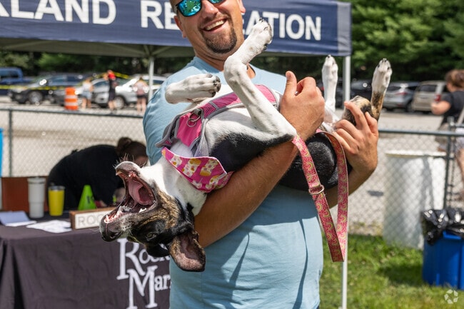 This happy pup enjoys the Rockland Farmers Market in Rockland.