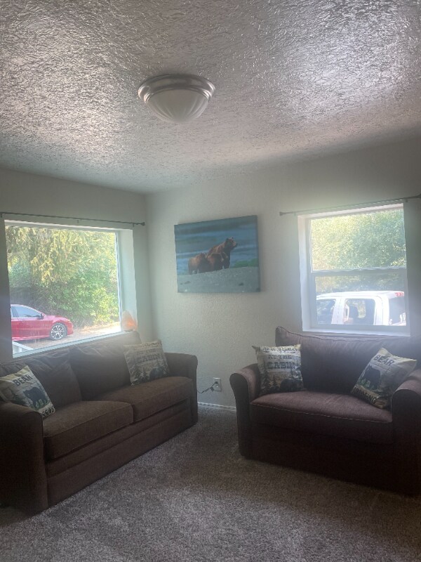 33 E Inman Rd, Inkom, ID 83245 - photo 1