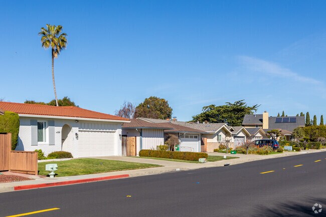Low-slung single-family homes fill the streets of Treasure Isle.