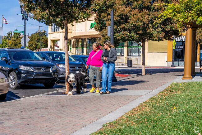 The Meadowlands offer safe sidewalks to walk your furry friend.