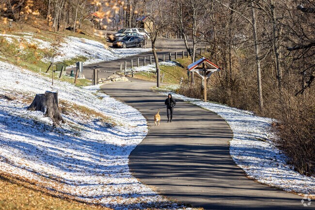 Take the dog for a walk along the walking and hiking trails throughout Rotary Park.