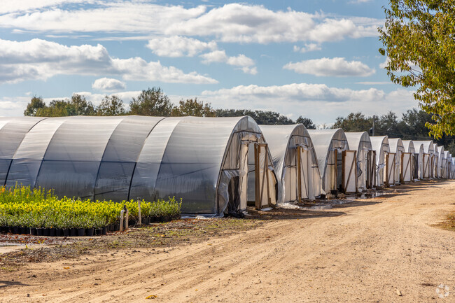 In Outer West Mobile, head to TLC Liners Nursery to see a commercial horticulture operating.