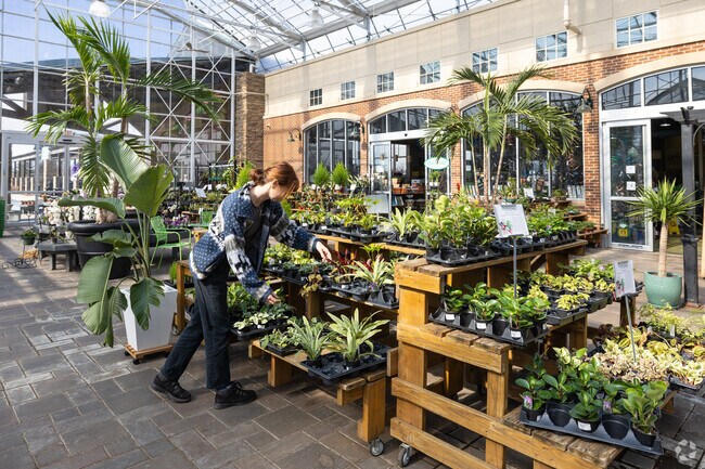 Looking over the vast selection of plants at Delhi Garden Center in the heart of Liberty.