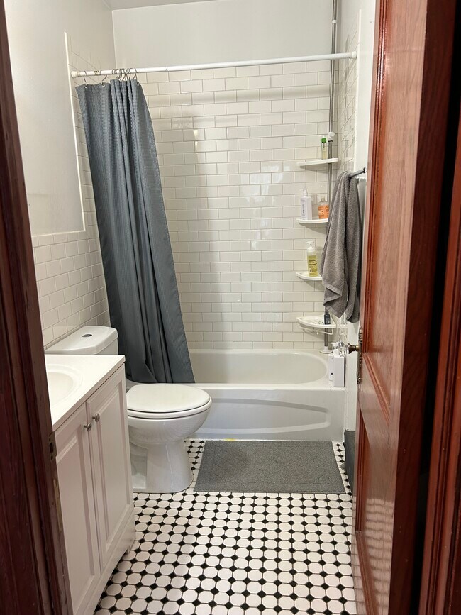 711 Emerson St unit 2, Evanston, IL 60201 - photo 5