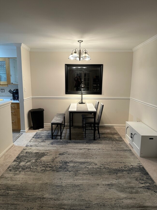 Shared living space