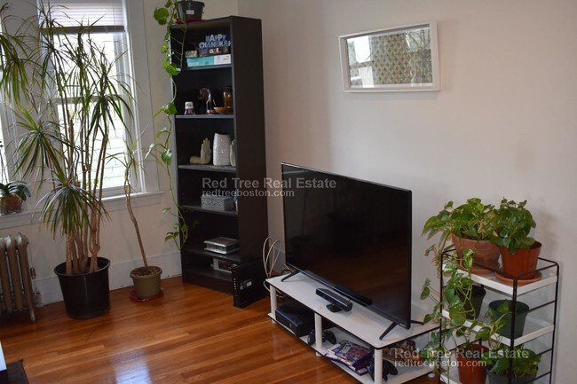 15 Forest Hills St unit 3, Jamaica Plain, MA 02130 - photo 2