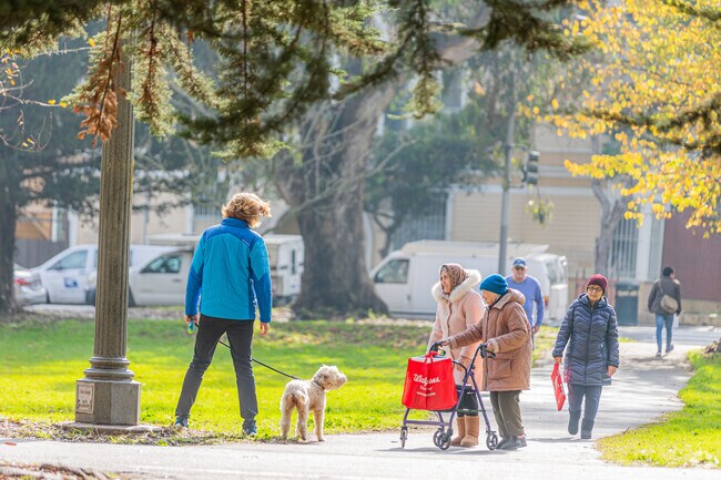 Friendly encounters with a neighborhood dog in the Panhandle.