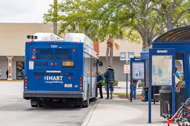 Interbay has a good public bus system with HART.