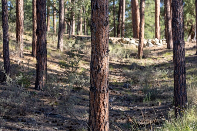 Many homes in Hidden Valley Ranch are tucked back in the trees.