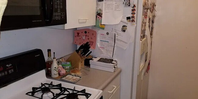 2 S End Ave unit 2L, New York, NY 10280 - photo 5