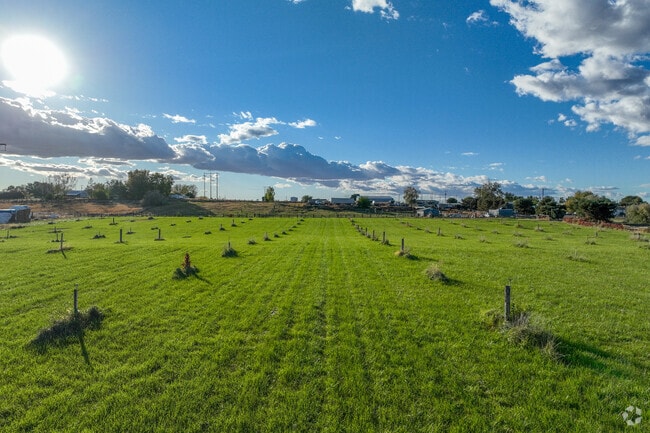 Finley’s green pastures reflect the community’s agricultural roots and rural charm.