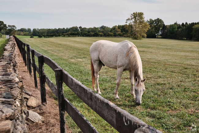 Beautiful scenery is everywhere you turn in Aldie's countryside.