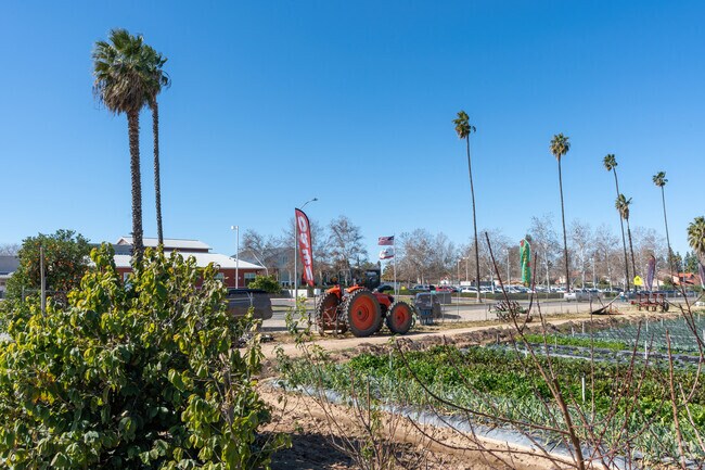 Raul's family farm has called Arlington Heights home for many years.
