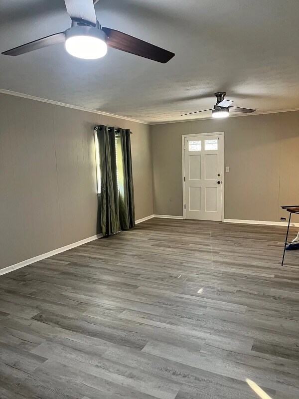 958 Effie Rd, Lexington, KY 40511 - photo 3