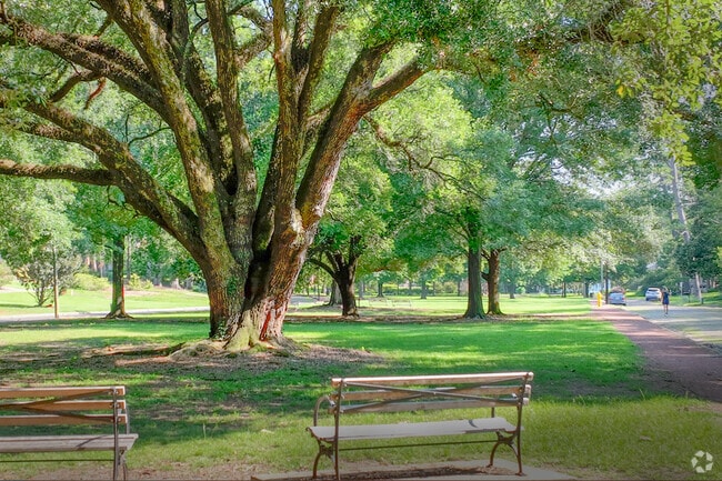 200-year-old oak trees can be found in Cloverdale-Idlewild’s local park.