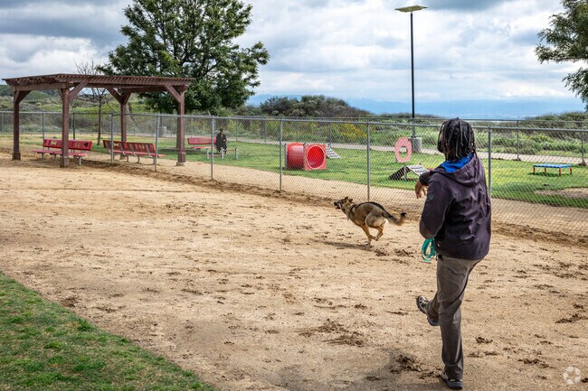 Hound Town Dog Park in Cloverdale is a great place to let your dog run and play.