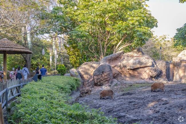 Richmond West, FL has a plethora of things to do for the whole family.