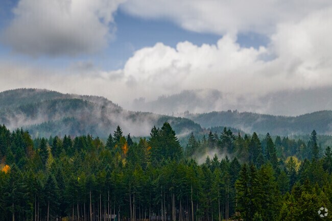 Rainier is surrounded by pine-covered hills and scenic mountain vistas.