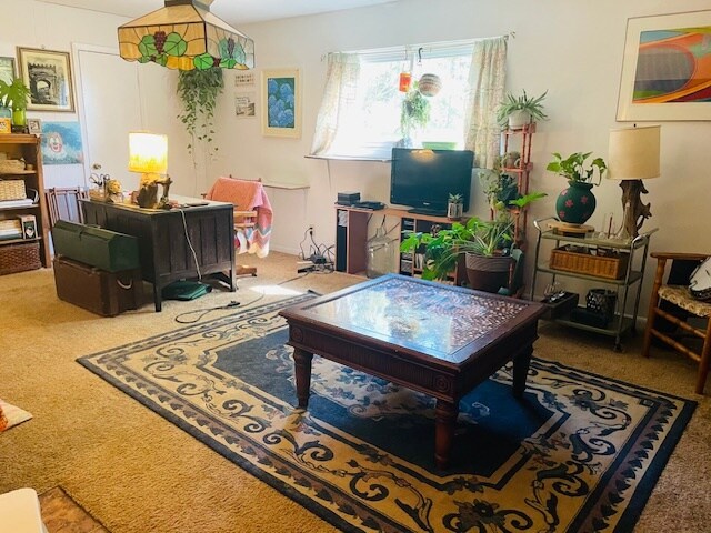 400 Green St unit 400 Green 45B, Blacksburg, VA 24060 - photo 6