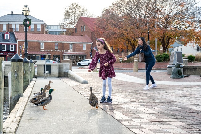 There are great spots near Forest Villa to feed the ducks.