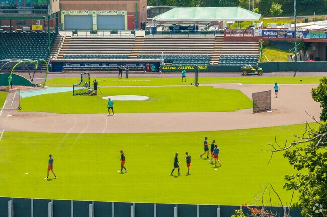 The Lynchburg Hillcats are the local baseball team and affiliated with the Cleveland Guardians.