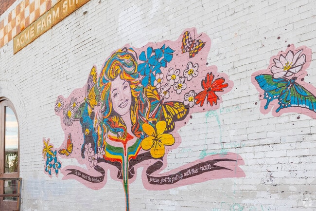 Acme Feed & Supply has a beautiful Dolly Parton mural by MacKenzie Moore in The District.