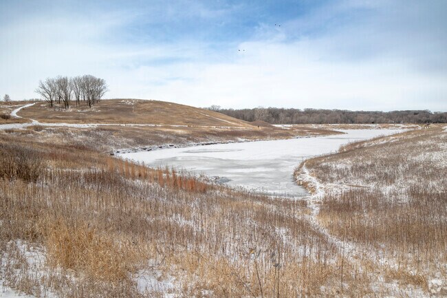 Roselle is lucky to be located next to Meacham Grove, a 250-acre forest preserve.