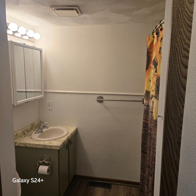 321 Allan Ave unit 321, Owatonna, MN 55060 - photo 6