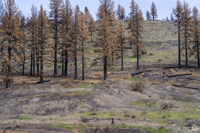 Winter's Creek trailhead is a popular hiking and biking destination in Franktown, which just experienced a significant wildfire in 2024.
