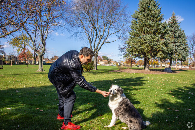 Residents in The Terrace have plenty of room to play with their dogs at the local Oak Park.